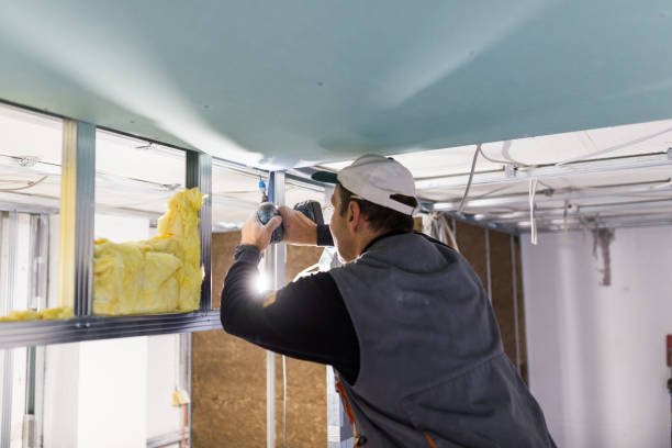 Best Specialized Insulation Services in Glendale, MO